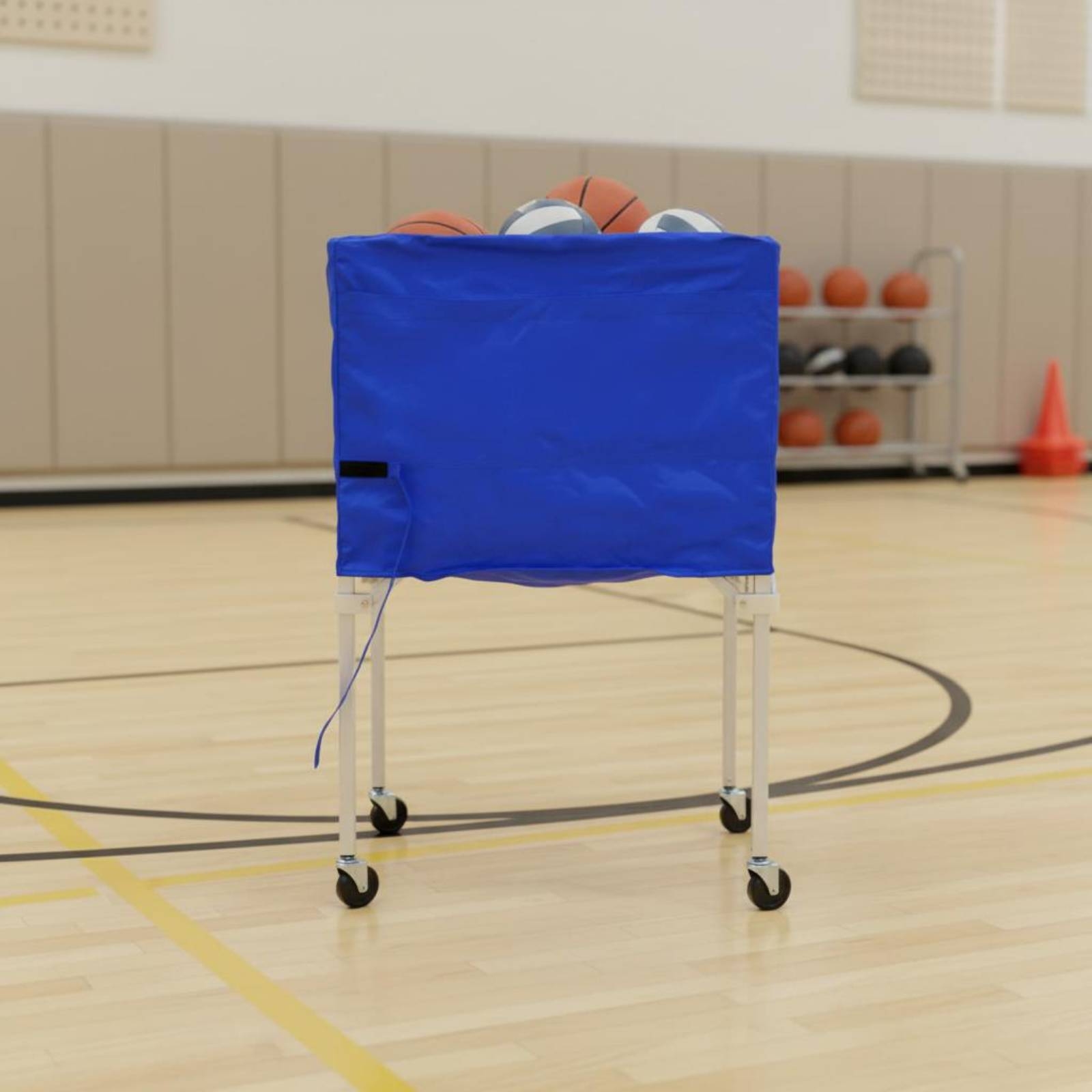 Foldable Ball Trolley Multi-Sp - Gym Ball review and price