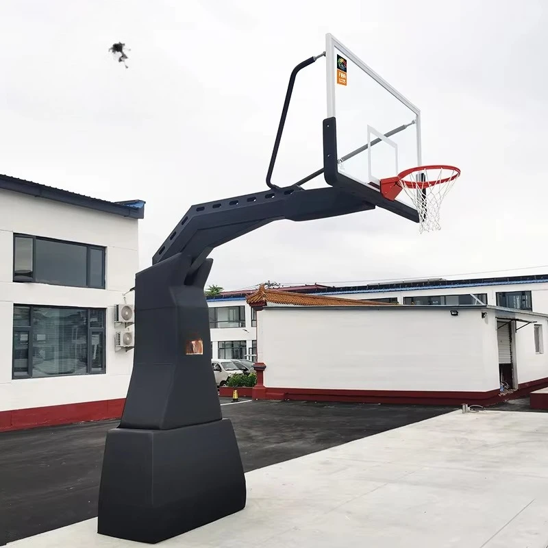 FIBA Approved Professional Bas - Basketball Hoop review and price